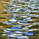 On Golden Ponds